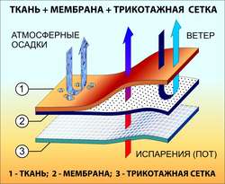 мембранная верхняя одежда