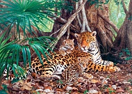 Castorland Пазлы 3000 С-300280.Ягуары в джунглях
