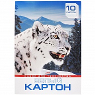 Набор картона Белый 10л А3ф в папке-Снежный барс 032434