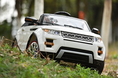 Range Rover A111AA VIP с дистанционным управлением