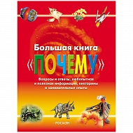 Книга Большая книга Почему 240стр 4295