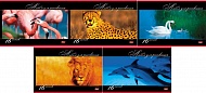 Альбом д/рисования 16А4В В мире животных, на скобе 16л 003987